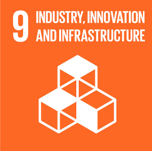 SDG9