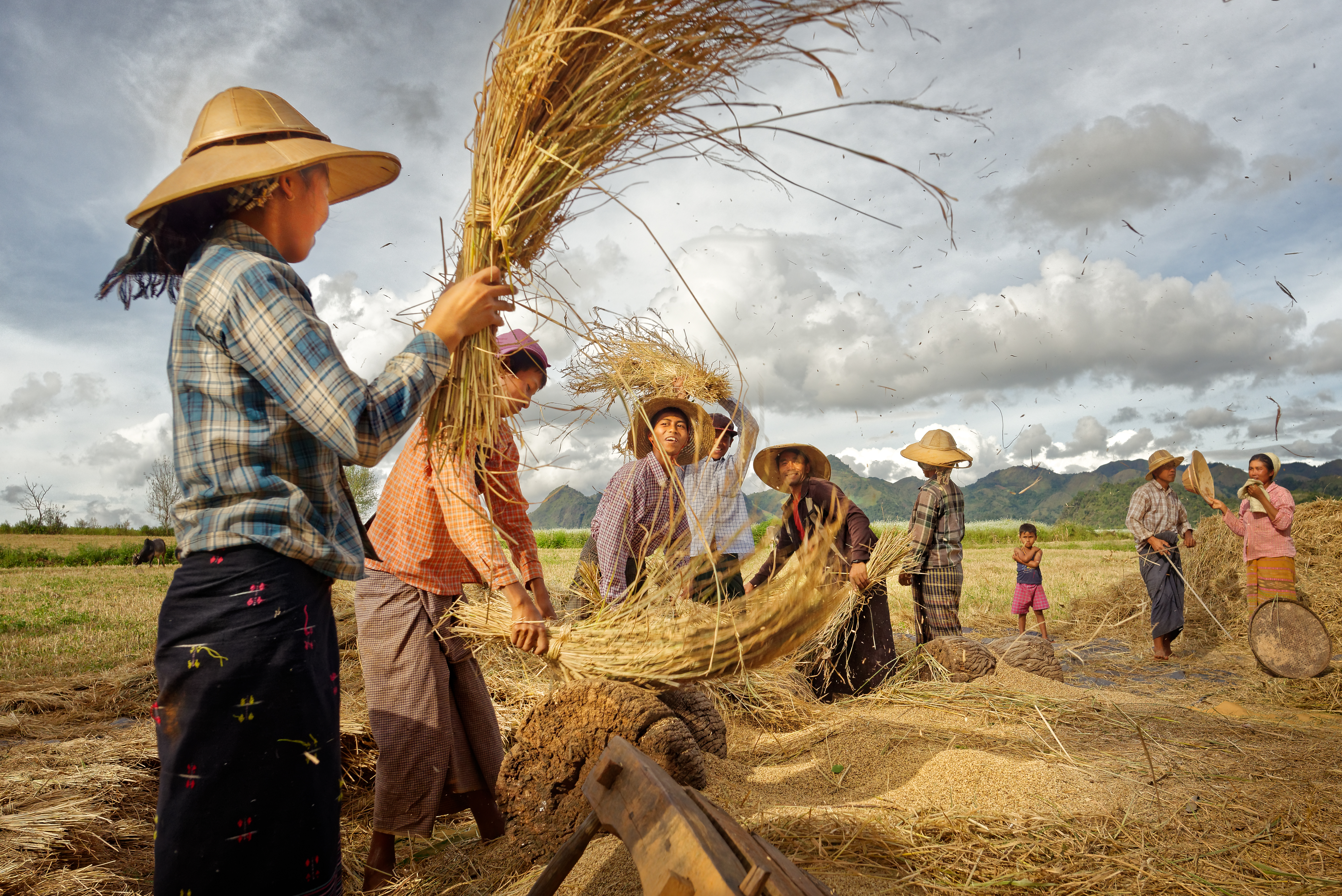 Food Systems Summit 